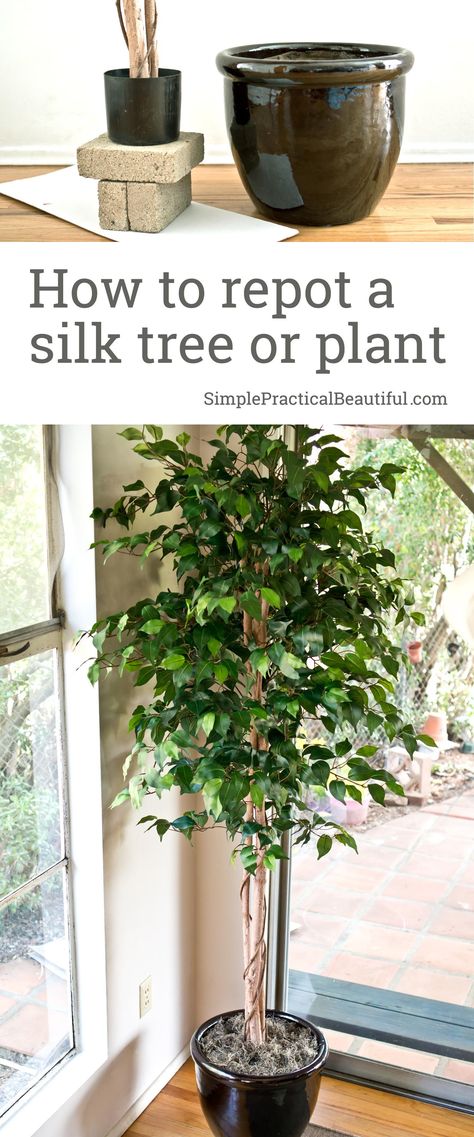 Tutorial on how to repot a silk tree or faux plant | Transplant a fake tree into a new pot or planter | Using silk trees indoor in home decor Fake Tree Diy, Fake Indoor Trees, Ficus Tree Indoor, Declutter House, Artificial Indoor Trees, Plant Obsession, Garden Escape, Tree Planters, Indoor Tree