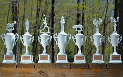 Funny Trophies, Palm Springs Bach, Diy Trophy, Olympic Theme Party, Trophy Shelf, Golf Trophies, Award Ideas, Custom Trophies, Engraved Plates