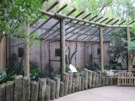 Backyard Aviary Ideas, Bird Aviary Ideas Outdoor, Reban Ayam, Zoo Decor, Fort Worth Zoo, Zoo Project, Zoo Architecture, Pet Bird Cage, Reptile Room