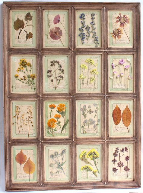 Framed Dry Flowers, Large Pressed Flower Art, Pressed Leaves Framed, Cottagecore Journaling, Dried Leaves Art, Dried Flower Picture Frame, Pressed Flowers Ideas, Pressed Flower Collage, Glass Pressed Flowers