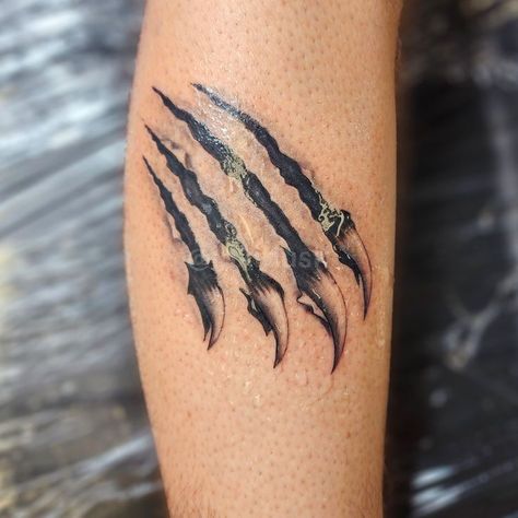 Bear Scratch Tattoo, Bear Claw Tattoo Women, Claw Tattoos For Men, Scratches Tattoo, Claw Mark Tattoo, Tiger Claw Tattoo, Shark Gills, Scratch Tattoo, Bear Claw Tattoo