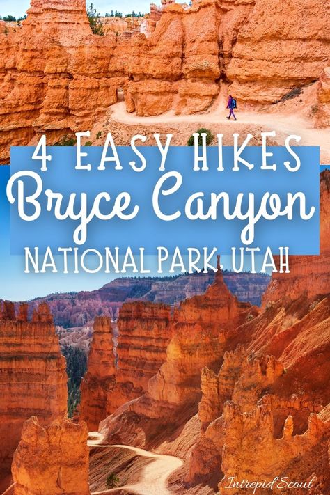 Best Hikes In Bryce Canyon National Park, Bryce Canyon Hikes, Bryce National Park, Utah National Parks Road Trip, Trip To Grand Canyon, Utah Vacation, Utah Adventures, Arizona Road Trip, Utah Road Trip