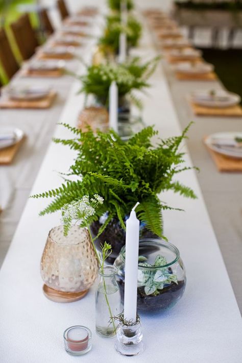 simple fern centerpieces, candles, colored glass and potted foliage for a woodland inspired wedding tablescape Very Simple Centerpieces, Botanical Wedding Theme Decor, Fern Themed Wedding, Potted Plants Wedding Ceremony, House Plant Centerpieces Wedding, Live Plant Centerpieces, Plant Centerpieces Wedding, Potted Plant Centerpieces, Fern Garland