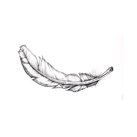 Falling Feathers Drawing, Falling Feather Tattoo, Feather Drawings, Feather Tat, Baby Memorial Tattoos, Tattoo Feather, Tattoo Thoughts, Heaven Tattoos, Feather Illustration