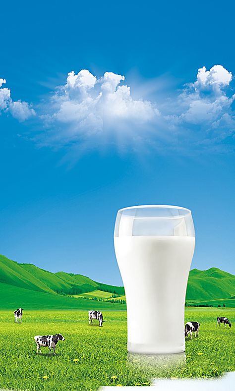 Grassland pastures cows milk background Ranch Background, Milk Pictures, Milk Background, Dairy Products Packaging Design, Liquid Cheese, Milk Advertising, Achari Paneer, Milk Photography, Food Brand Logos