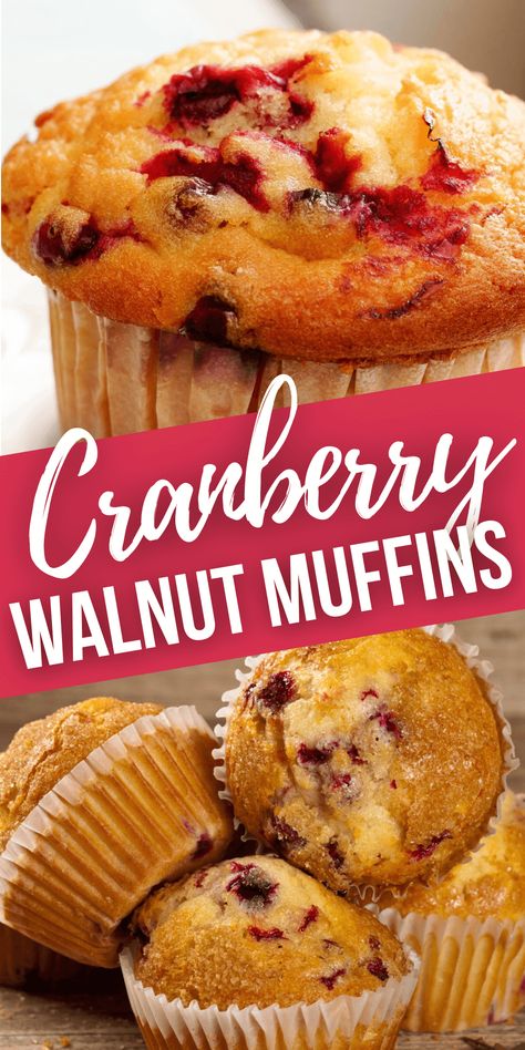 Cranberry Walnut Muffins have both a chewy and crunchy texture and will satisfy all ages on Thanksgiving morning or any morning that you want a wonderful treat. Muffins From Cake Mix Recipes, Dried Cranberry Muffins, Cranberry Recipes Healthy, Craisin Muffins, Cranberry Nut Muffins, Cranberry Dishes, Cranberry Walnut Muffins, Pecan Muffins Recipe, Dried Cranberries Recipes