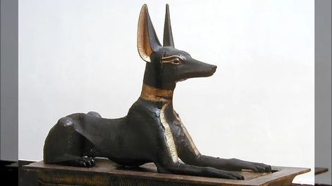 https://www.grunge.com/174278/the-truth-about-ancient-egypts-most-prized-dog-breed/ Gods Pictures, Egyptian Dog, Ancient Egyptian Statues, Pet Cemetery, Dog Died, Egyptian Pharaohs, Puppy Mills, God Pictures, Like Animals