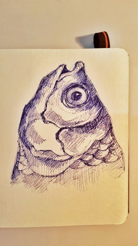 Sketchbook Ideas Fish, Sketchbook Art Inspiration Pen, Quick Pen Sketches, Sea Life Sketches, Fish Pen Drawing, Fish Head Drawing, Unique Sketch Ideas, Drawing Ideas Fish, Drawing Pen Sketches