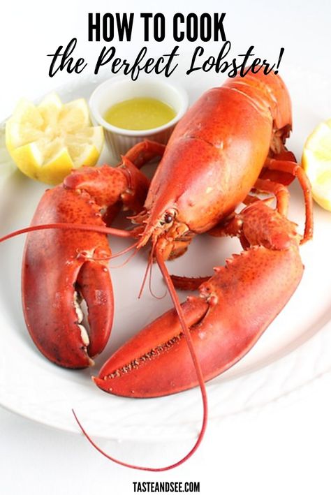 Boiled Lobster with Drawn Butter is sooo easy to make!  De-mystify the question of how to cook live lobster!  This guide to boiled lobster will break it down for you and turn you into a crustacean-taming, seafood loving, lobster-master.  #BoiledLobster #DrawnButter #HowToCookLobster #SeafoodRecipes #TasteAndSee Boiled Lobster Recipes, Boiled Lobster, Best Lobster Tail Recipe, Drawn Butter, Cook Lobster, Lobster Boil, Live Lobster, Lobster Recipes Tail, How To Cook Liver