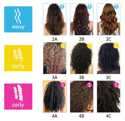 Hair Texture Chart, Pelo Ondulado Natural, Types Of Curly Hair, Care For Curly Hair, Hair Type Chart, Curly Hair Beauty, Curly Hair Types, Hair Due, Natural Wavy Hair