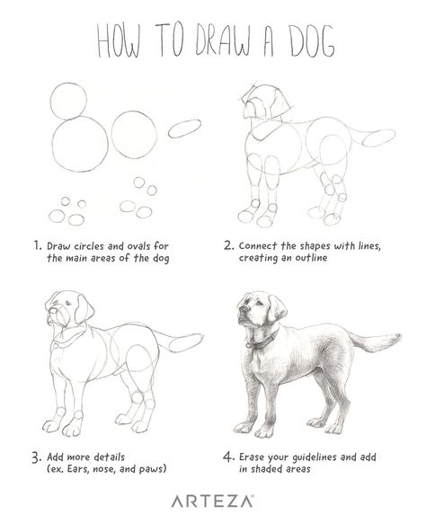 Want to learn how to draw a realistic dog? See how you can make an easy drawing of a dog with this simple step-by-step.  Artist Credit: Arteza Team Dog Sketch Easy, Dog Drawing Tutorial, Draw A Dog, Dog Drawing Simple, Drawing Instructions, Dog Steps, Dog Sketch, 강아지 그림, Drawing For Beginners