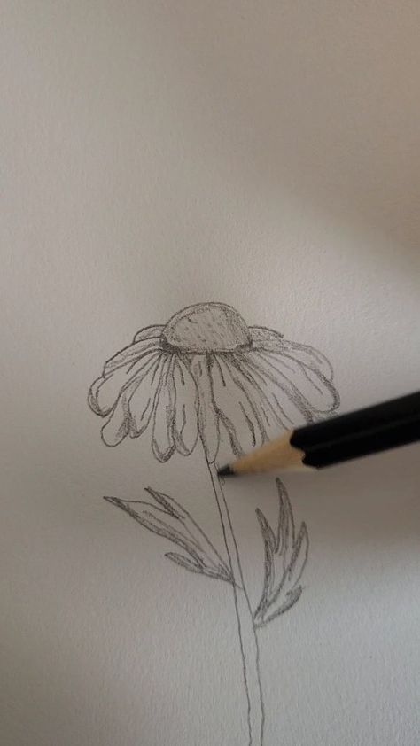 Imagine Artists with Lianna | How to Draw a Realistic Daisy :) Easy! Happy Mothers Day! 🌼 #drawinglesson #drawing #easydrawing #easy tutorial #howtodraw #Daisy #flower # | Instagram Daisy Drawing Simple, Daisy Sketch, Drawing Daisy, Easy Realistic Drawings, Daisy Flower Drawing, Realistic Flower Drawing, Step By Step Sketches, Daisy Drawing, Mothers Day Drawings