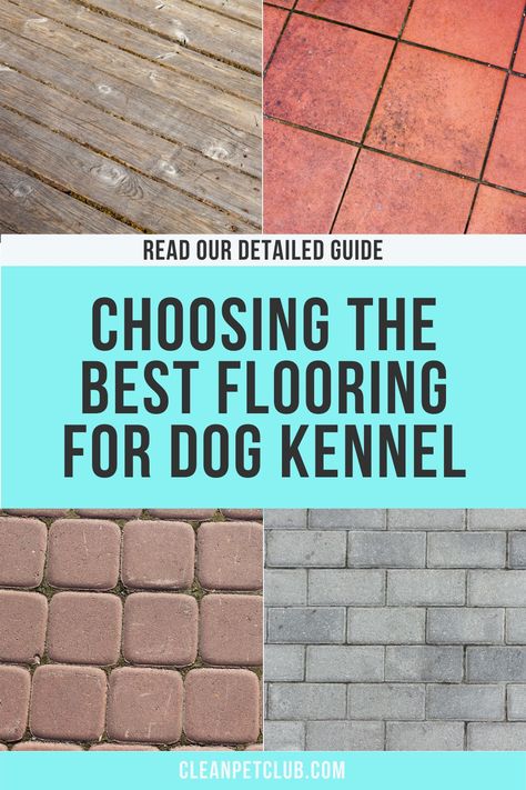 What makes a good dog kennel? Both indoor and outdoor kennels should be safe, comfortable and sanitary. It should be easy to maintain and durable. The floor plan should be simple for your dog to navigate and also easy for your to clean. Appropriate flooring material also plays a key role in maintaining the health and comfort of your dog as well as making the kennel easy to care for. Here are some ideas to consider if you're planning to DIY a dog kennel. Wood Kennels For Dogs, Outdoor Kennel Flooring Ideas, Dog Run Flooring Outdoor, Dog Kennel Flooring Outdoor, Indoor Outdoor Dog Kennel Ideas, Indoor Dog Run, Dog Kennels Diy Outdoor, Dog Pen Ideas Outdoor, Outside Dog Kennel Ideas Diy