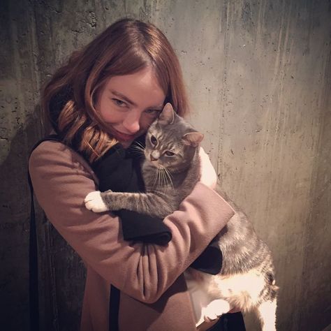 emma stone✰ on Instagram: “to be that kitty🥺” Emma Stone Gwen Stacy, Brittany Murphy, Natasha Lyonne, Gwen Stacy, Cat People, Charli Xcx, Emma Roberts, Emma Stone, Fav Celebs