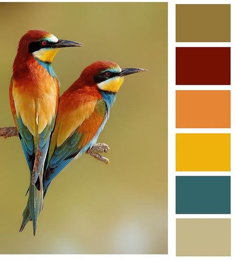 30 Receiving Color Palettes Inspired by Animals you can actually use - Hobby Lesson Fall Color Combinations, Design Seed, Mediterranean Garden Design, Red Living, Color Schemes Colour Palettes, Kunst Inspiration, Nature Color Palette, Color Palate, Complimentary Colors