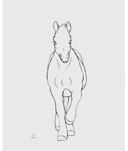 Horse Walking Animation, Horse Walking, Animation Drawing Sketches, Walking Animation, Horse Animation, Animal Movement, Up Animation, Horse Sketch, Horse Anatomy