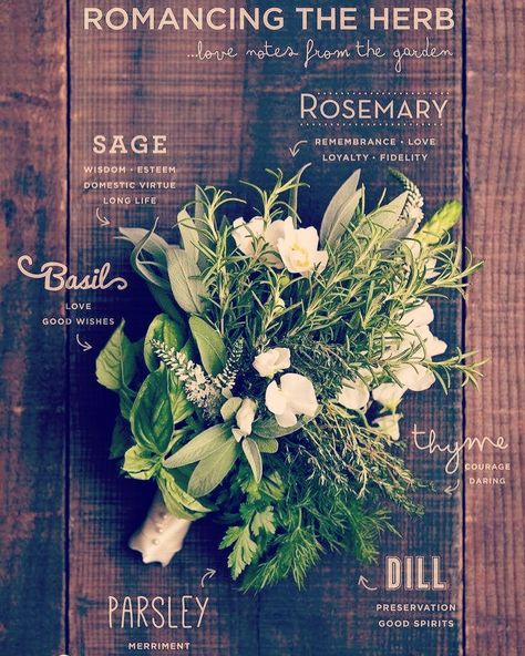 How do we feel about using herbs in place of flowers for wedding bouquets?! Personally I'm all in on this trend! 📷 cred - pinterest #herbs #wedding #nature #naturewedding #herbbouquet #woodsywedding #centraloregonwedding #centraloregonbride #weddingflowers #meaningsbehindit Herbal Bouquet Wedding, Rosemary Wedding Bouquet, Herb Bouquet Wedding, Woodsy Wedding Bouquet, Bouquet With Herbs, Basil Bouquet, Herbs Bouquet, Herb Wedding Centerpieces, Wedding Herbs