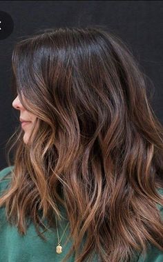 Minimal Hair Highlights, Dynamic Brunette Hair Color, Warm Brown Lowlights, Minimal Highlights Hair Brunettes, Balayage For Indian Skin Tone, Hair Colour For Indian Skin, Highlights 2024, Coco Hair, Balayage Hair Caramel