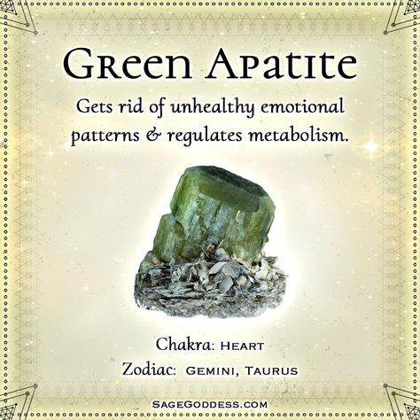 @thesagegoddess shared a photo on Instagram: “Green apatite is a stone for wellness 🧘‍♀💚 It activates the Heart Chakra, supports healthy physical alignment, and regulates metabolism. If…” • Mar 14, 2022 at 7:05pm UTC The Heart Chakra, Green Apatite, Crystals Healing Properties, Meditation Crystals, Crystal Healing Stones, Healing Properties, Heart Chakra, Healing Stones, Chakra