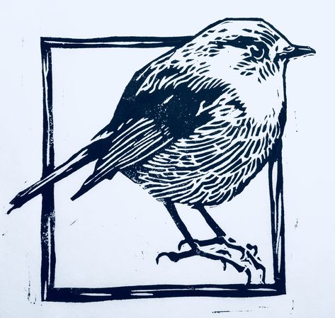 Linocut Prints Birds, Robin Illustration Bird, Linotype Illustration, Bird Lino Print, Robin Linocut, Linocut Birds, Linocut Art Ideas, Linocut Tattoo, Bird Linocut