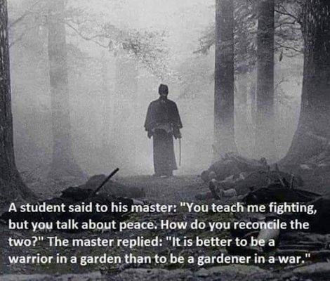 https://flic.kr/p/FNcqxb | Better To Be A Warrier In A Garden Jiu Jutsu, Martial Arts Quotes, Now Quotes, Pencak Silat, Ju Jitsu, Warrior Spirit, Warrior Quotes, Aikido, Badass Quotes