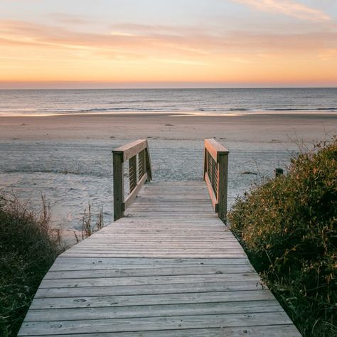 Seabrook Island, Beach Towns, South Carolina Beaches, Isle Of Palms, Kiawah Island, Folly Beach, Visit California, Carolina Beach, Seaside Towns