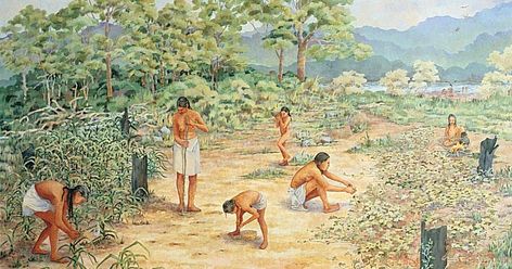 Gathering wild produce was an important occupation for early human survival. Artificial selection by humans would later be key for the future development of agriculture (~100,000-10,000 BC; World). Hunting And Gathering Society, Tennessee Painting, Columbian Exchange, Woodland Indians, Climate Warming, Cumberland River, Human Settlement, Early Humans, Animal Bones