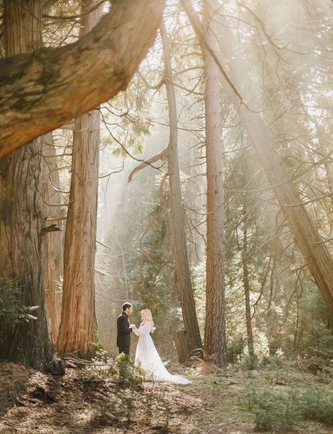 Woodland engagement session Enchanted Forest Wedding, Mountain Engagement Session, Outdoor Engagement Photos, Mountain Engagement, Engagement Photo Inspiration, Woodland Wedding, Green Wedding Shoes, Wedding In The Woods, Forest Wedding