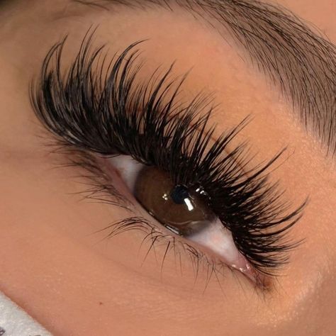 Lash Training, Lashes Fake Eyelashes, Lash Extensions Styles, Eyelash Extensions Styles, Volume Lash Extensions, Perfect Eyelashes, Volume Eyelash Extensions, Eyelash Extentions, Lashes Logo