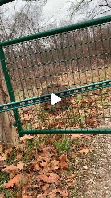 James Gehringer on Instagram: "Gate opener." Diy Property Gate, Farm Gate Entrance Ideas, Gate Opening Ideas, Electric Fence Ideas, Gate Posts Ideas, Front Porch Gate Ideas, Ranch Fence Ideas, Farm Gate Ideas, Acreage Fencing