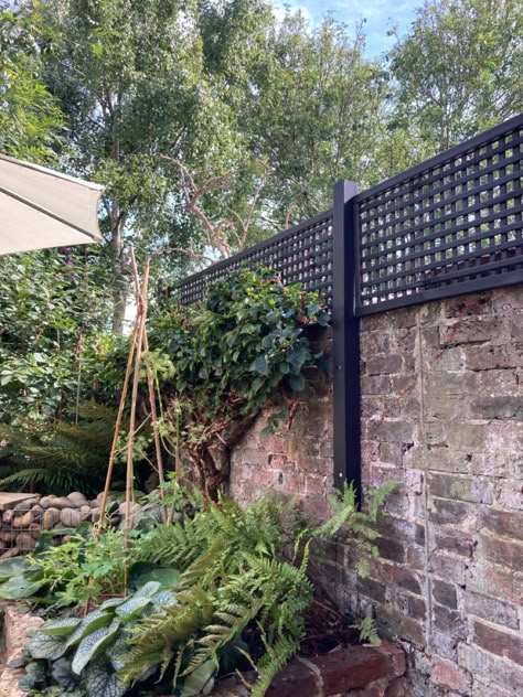 Victorian Terrace Garden, Black Garden Fence, Small Garden Spaces, Black Trellis, Privacy Trellis, Easy Garden Ideas, Privacy Screening, Trellis Fence, Black Fence