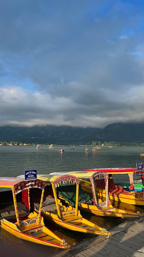 Srinagar Srinagar Snaps, Dal Lake, Art Deco Fabric, Fashion Illustration Tutorial, Illustration Tutorial, Romanticising Life, Srinagar, Fancy Video, Cool Instagram Pictures