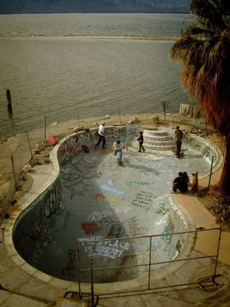 Skate Vibes, Skate Aesthetic, Teenage Wasteland, Skateboard Aesthetic, Skate Photos, Skateboard Photography, Skater Vibes, Skater Aesthetic, Skater Boy