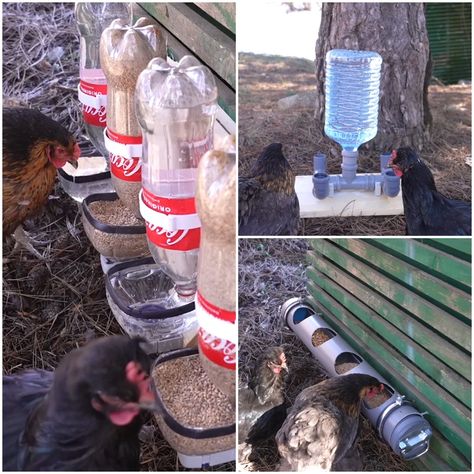 MetDaan DIY - 3 Easy DIY Chicken Feeder Easy Diy Chicken Feeder, Chicken Feed Diy, Diy Chicken Feeder, Pet Chickens Breeds, Chicken Waterer Diy, Chicken Water Feeder, Chicken Coop Ideas, Chicken Aesthetic, Chicken Feeder Diy