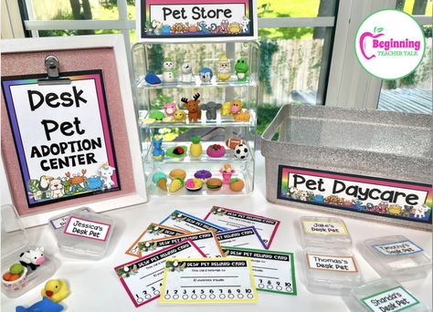 Desk Pet Ideas, Desk Pets Classroom, Desk Pets, Classroom Pets, Desk Pet, Kindergarten Classroom Management, Classroom Accessories, Perfect Classroom, Class Pet