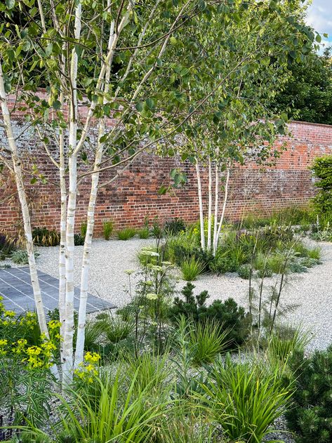 Karl Forester, Garden Atrium, Birch Trees Garden, Limestone Gravel, Modern Planting, Modern English Country, English Landscape Garden, Clay Pavers, Garden Site