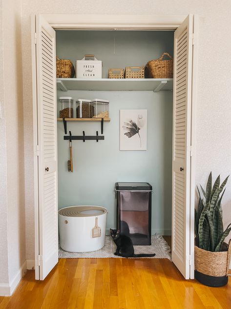 Litter Box In Closet, Cat Area, Cat Patio, Urban Outfitters Home, Green Diy, Large Shelves, Space Cat, Cat Room, Cat Litter Box