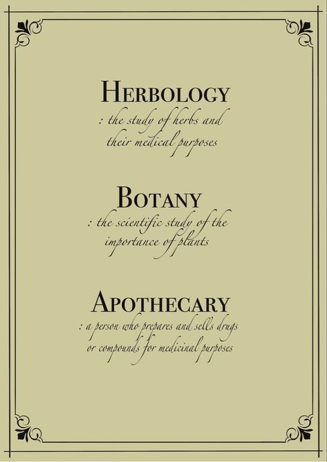 Green Witch Apothecary, Starting An Apothecary, Botany Major Aesthetic, Home Herbal Apothecary, Apothecary Names, Apothecary Name Ideas, Home Apothecary Beginner, Witchy Apothecary Decor, Apothecary Grimoire