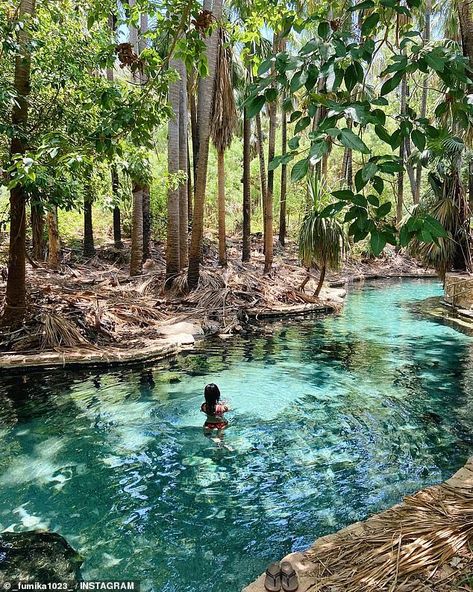 Aussie travellers rediscover healing blue waters of Mataranka Thermal Pools in Elsey National Park | Daily Mail Online Thermal Pool, Swimming Hole, Full Time Travel, Thermal Spring, Northern Territory, Swimming Holes, Beautiful Scenery Nature, Turquoise Water, Tropical Vibes