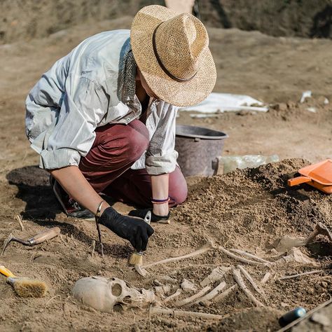 Archeologists excavating human skeleton remains 20s Aesthetic, Archaeology Dig, Finding The Right Career, Centre Of Excellence, Forensic Anthropology, History Major, Into The West, Diploma Courses, Center Of Excellence