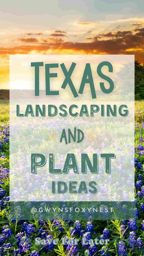 Landscaping Ideas for Texas home Flower Mound Texas, Central Texas Landscaping Front Yards, Native Texas Plants Landscaping, South Texas Landscaping Ideas, Texas Backyard Landscaping, Texas Native Plants Landscaping, Texas Landscaping Ideas, South Texas Landscaping, Texas Landscaping Front Yard