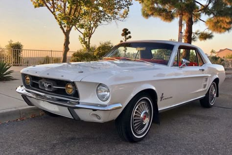 For Sale: 1967 Ford Mustang Coupe (white, A-Code, 289ci V8, 3-speed auto) White Mustang, Truck Accessories Ford, Ford Mustang 1967, Studebaker Trucks, 1967 Mustang, Ford Mustang Coupe, Old Vintage Cars, Tesla Car, Door Panels