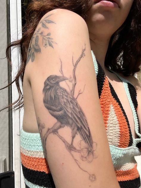 Crow, raven, bird, tattoo, Norse, Huginn, Two Crow Tattoo, Raven On A Branch Tattoo, Raven Hip Tattoo, Raven Tattoo On Back, White Raven Tattoo Design, Raven Tattoo Arm, Bird Tattoo Thigh, Bird And Branch Tattoo, Animal Nature Tattoo