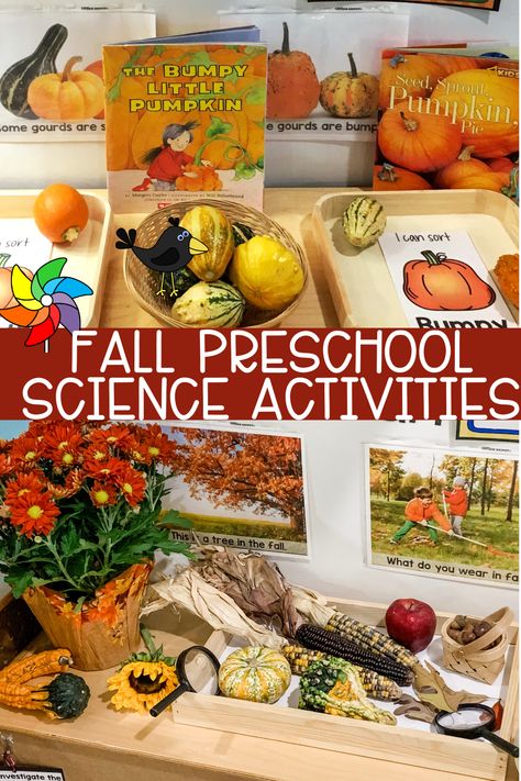 Pumpkin Science Center Preschool, Acorn Preschool Theme, Acorn Science Preschool, Fall Science Center Preschool, Fall Leaves Preschool Activities, Fall Preschool Science, Preschool Fall Theme, Fall Leaves Preschool, Fall Science Center