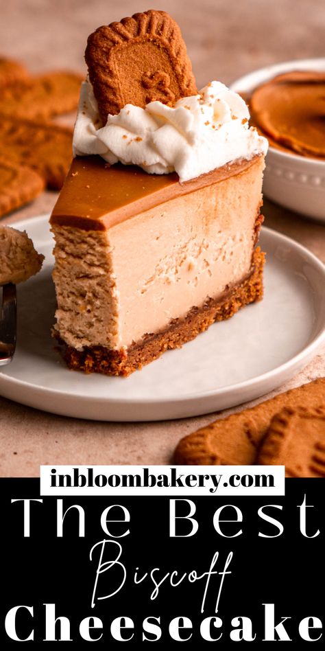 This is the best Biscoff cheesecake recipe! It's a simple recipe for creamy, cookie butter cheesecake with a Biscoff cookie crust, topped with cookie butter. This cheesecake is perfect dessert for all the Biscoff lovers in your life! Biscoff Cookie Dip, Biscoff Cheesecake Baked, Cookie Butter Tart, Biscoff Cookie Cheesecake, Cookie Butter Cheesecake Recipes, Butter Beer Cheesecake, Biscoff Cookie Butter Cheesecake, Specialty Cheesecake Recipes, Dessert Competition Ideas