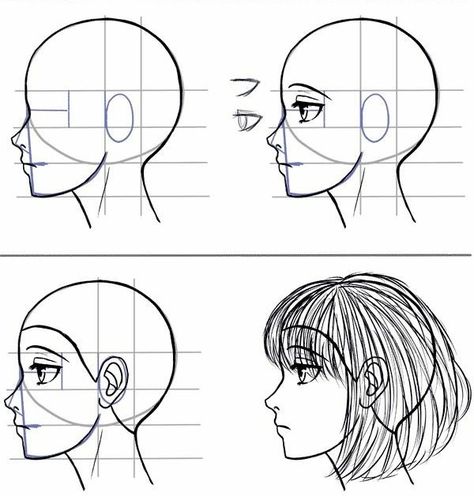 (4) Tutorial Bergambar: Cara Menggambar Wajah Bagian Samping Atau Tampak Samping Art Tutor, Animation Art Sketches, Anatomy Sketches, Cute Desktop Wallpaper, Drawing Studies, Human Art, Art Tutorials Drawing, Step By Step Drawing, Art Tips