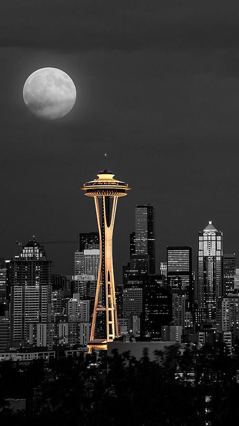 Seattle Greys Anatomy, Seattle Aesthetic Wallpaper, Greys Anatomy Seattle, Grey's Anatomy Aesthetic Wallpaper, Greys Anatomy Aesthetic, Greys Anatomy Wallpaper, Seattle Wallpaper, Seattle Aesthetic, Wallpaper City