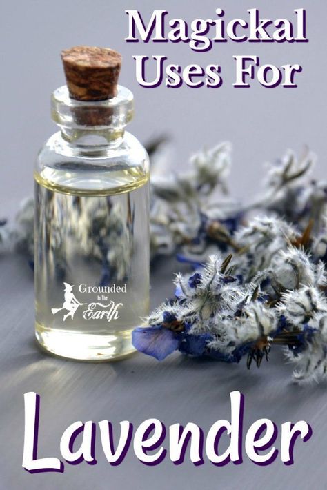 Uses For Lavender, Lavender Uses, Lavender Crafts, Magickal Herbs, Witch Herbs, Lavender Herb, Magic Herbs, Magical Herbs, Herbal Magic