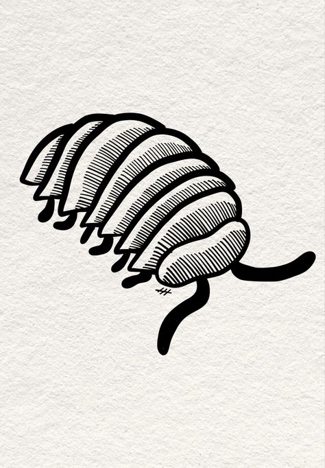 Pill bug tattoo stencil Isopods Art, Simple Cicada Drawing, Pill Bug Art, Bug Lino Print, Pillbug Drawing, Bug Drawings Simple, Roly Poly Drawing, Pill Bug Drawing, Small Bug Tattoo Ideas