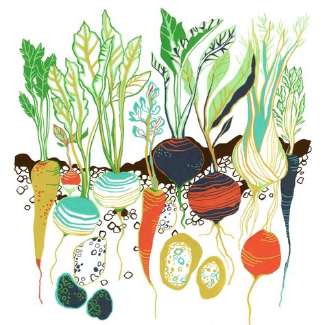 Root vegetables celebrating growing your own, illustration painted as an original gouache painting by Kate Cooke Gouache Ideas, Vegetable Art, Vegetable Illustration, Garden Illustration, Gouache Art, Year 3, Food Illustration, Radishes, Pics Art